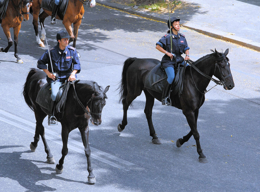 Xilocopa e ancora polizia a cavallo